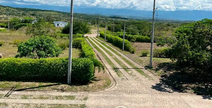 Vista de los lotes y zonas verdes